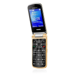 Telefono Cellulare Brondi PRESIDENT Oro DUAL SIM 240x320 Fotocamera Maxi Display