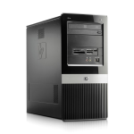 PC Desktop HP Pro 3135 MT AMD Athlon II X2 250 / 2GB / HDD 320GB / W10 PRO
