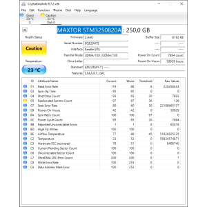 Hard-Disk 3.5" HDD PATA 250GB Maxtor STM3250820A (sn 9QE29HTE)